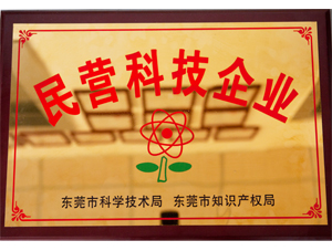 Become Private Technology Enterprises in Dongguan City
