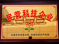 Private scientific and technological enterprises in Dongguan