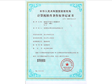 Software certificate