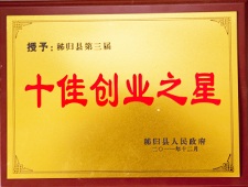 Ten venture star
